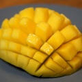 Mangue