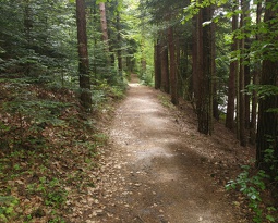 20160518_113813_Burst01