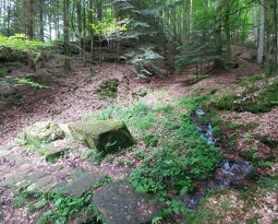 20160518_103558_Burst01