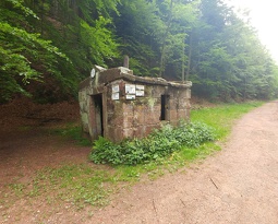 20160518_102704_Burst01