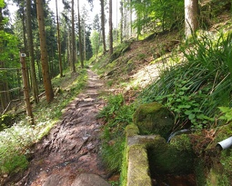 20160518_101933_Burst01