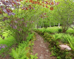 20160518_085250_Burst01