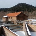 Scierie de la Hallière