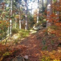 Couleurs d'automne