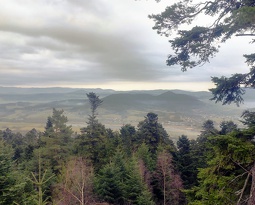 Depuis la roche des fossés