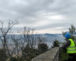 Depuis la roche des hauts champs