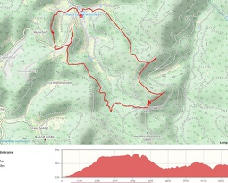 plan (4163 visits) plan