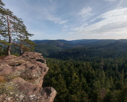 Le Hohwalsch (4203 visits) Le Hohwalsch