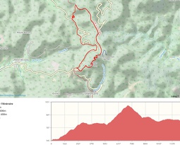 plan (4749 visits) plan