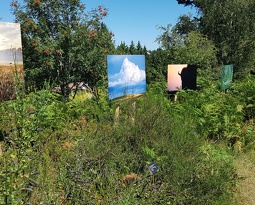 Sentier des photos Haut du Tôt
