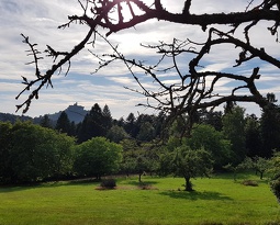 Rocher de Dabo depuis la Hoube