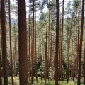 20180630 154438-2560x1920
