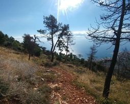 Castellar carpano... Stopped because i lost my keys