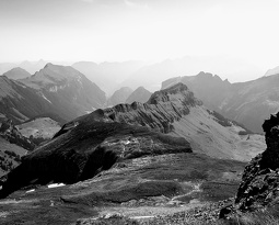 20180708 100630 3 (2314 visits) 20180708 100630 3