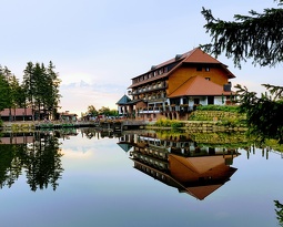 20180715 075325 2 (1833 visits) 20180715 075325 2