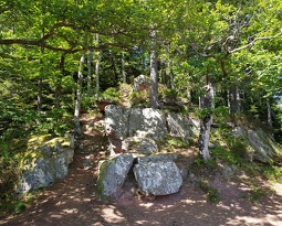 20180623 155051 (1904 visits) 20180623 155051