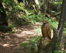 Rando Ottrott Dreistein Ste-Odile