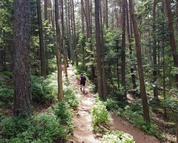 Rando Ottrott Dreistein Ste-Odile