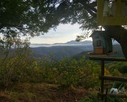 Perinaldo (2277 visits) Perinaldo