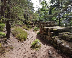 Rando Ottrott Dreistein Ste-Odile