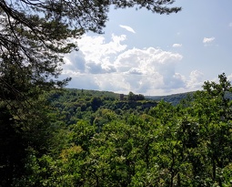 20180823 133506 2 (2941 visits) 20180823 133506 2