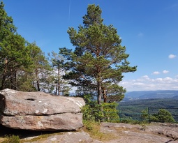 20180623 171057 (2184 visits) 20180623 171057