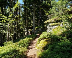 20180623 154540 (1919 visits) 20180623 154540