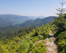 20180505 124607 (2572 visits) 20180505 124607