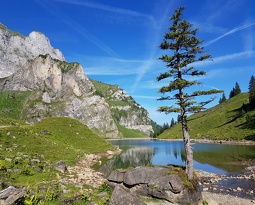 20180708 085408 (2144 visits) 20180708 085408