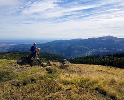 IMG 20180922 150810 2 (2487 visits) IMG 20180922 150810 2