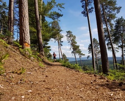 20180623 173140 2 (2313 visits) 20180623 173140 2