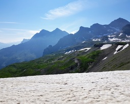 20180708 095101 2 (2394 visits) 20180708 095101 2