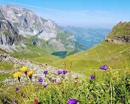 20180708 094303 3 (2551 visits) 20180708 094303 3