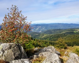 20180922 152918 2 (2275 visits) 20180922 152918 2