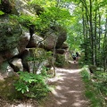 Rando Ottrott Dreistein Ste-Odile