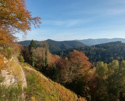 Par les lacs de Pierre Percée