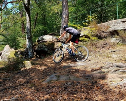 20180823 163259 (2618 visits) 20180823 163259