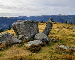 20180922 153516 2 (2336 visits) 20180922 153516 2