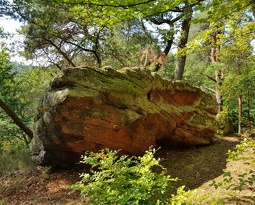 20180823 134404 (2556 visits) 20180823 134404