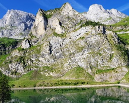 20180708 083746 2 (2146 visits) 20180708 083746 2