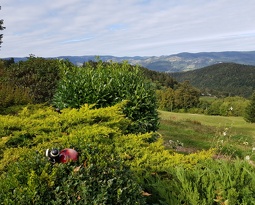 20180922 155304 (2361 visits) 20180922 155304