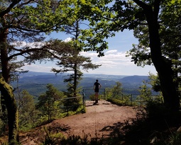 20180623 160046 (1928 visits) 20180623 160046