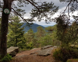 Tour de la Madeleine, St Dié