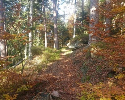 Par les lacs de Pierre Percée