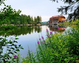 20180715 075246 2 (1768 visits) 20180715 075246 2