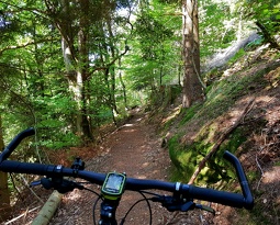 20180823 163040 (2429 visits) 20180823 163040