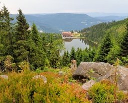 20180715 080325 2 (1842 visits) 20180715 080325 2