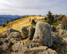 20180922 152845 2 (2290 visits) 20180922 152845 2