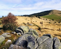 20180922 153301 2 (2263 visits) 20180922 153301 2