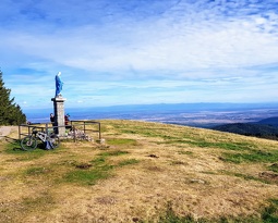 20180922 150150 2 (2415 visits) 20180922 150150 2